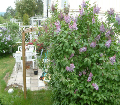 gallery_7440_218_41035.jpg