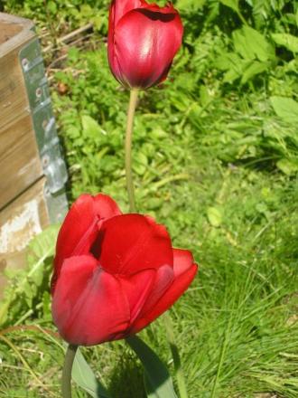 gallery_5006_557_23040.jpg