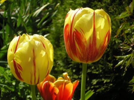 gallery_5006_557_31000.jpg