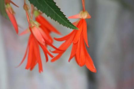 gallery_5447_41_27084.jpg