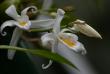 tn_gallery_5447_117_4635.jpg
