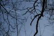 tn_gallery_5447_264_47925.jpg