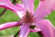 tn_gallery_5447_41_20382.jpg