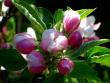 tn_gallery_5447_41_27697.jpg