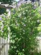 tn_gallery_5006_197_113197.jpg