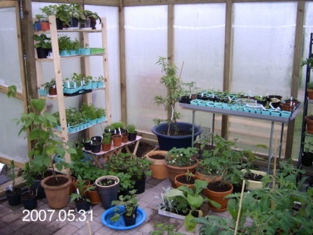 gallery_8540_234_45967.jpg