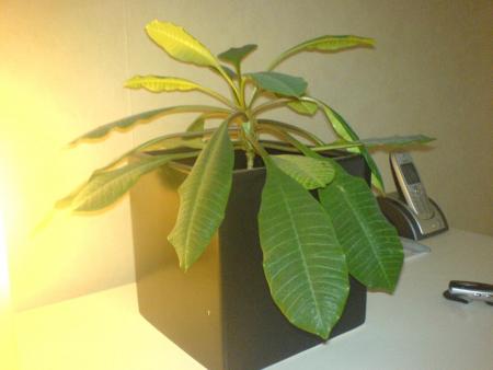 gallery_10257_418_287079.jpg