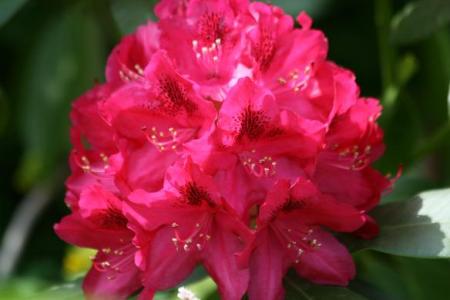 gallery_5447_41_4556.jpg
