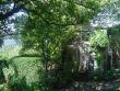 tn_gallery_3388_602_26087.jpg