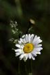 tn_gallery_4816_75_117.jpg