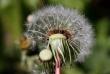 tn_gallery_4816_75_1298.jpg