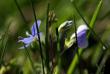 tn_gallery_4816_75_48175.jpg