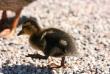 tn_gallery_4816_75_62769.jpg