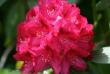 tn_gallery_5447_41_4556.jpg