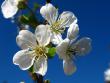 tn_gallery_7111_79_40431.jpg