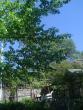 tn_gallery_3388_602_748.jpg