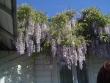 tn_gallery_3388_602_77469.jpg