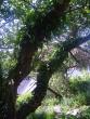 tn_gallery_3388_602_78294.jpg