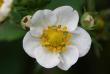 tn_gallery_5447_41_36527.jpg