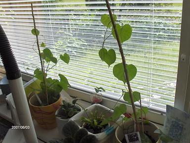 gallery_10835_606_147644.jpg