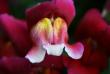 tn_gallery_5447_41_13377.jpg