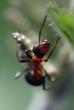 tn_gallery_4816_75_20378.jpg