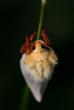 tn_gallery_4816_75_25217.jpg