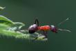 tn_gallery_4816_75_33424.jpg