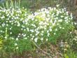 tn_gallery_559_611_10446.jpg