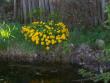 tn_gallery_559_611_49365.jpg