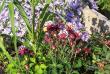 tn_gallery_6203_31_2612.jpg