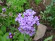 tn_gallery_9372_624_17186.jpg