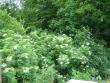 tn_gallery_9372_624_29615.jpg