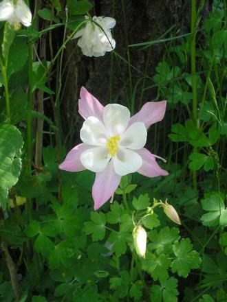 gallery_5006_626_45091.jpg