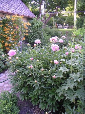 gallery_9317_593_116002.jpg