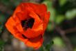 tn_gallery_5447_41_9526.jpg