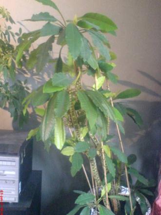 gallery_10811_636_9760.jpeg