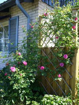 gallery_5307_533_234468.jpg