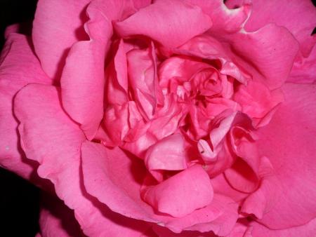 gallery_5307_533_26253.jpg