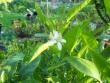 tn_gallery_559_629_23103.jpg