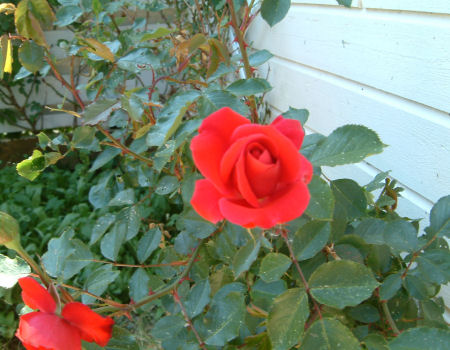 gallery_7440_640_63201.jpg