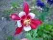 tn_gallery_4113_49_1526.jpg