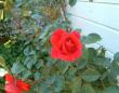 tn_gallery_7440_640_63201.jpg