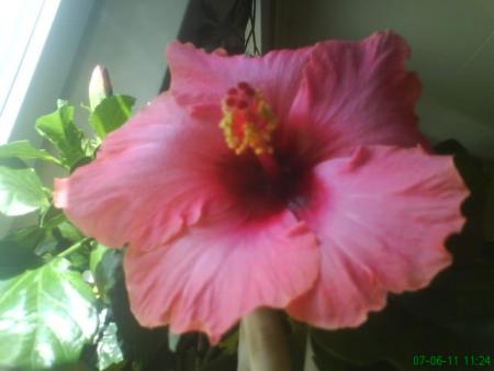 gallery_10973_646_29557.jpg