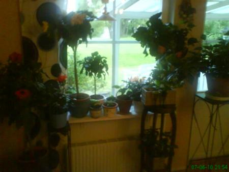 gallery_10973_646_29566.jpg