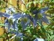 tn_gallery_3388_651_98272.jpg