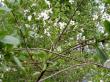 tn_gallery_5169_649_42145.jpg