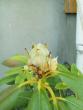 tn_gallery_3388_651_15024.jpg