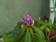 tn_gallery_3388_651_50835.jpg