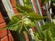 tn_gallery_3388_651_73468.jpg